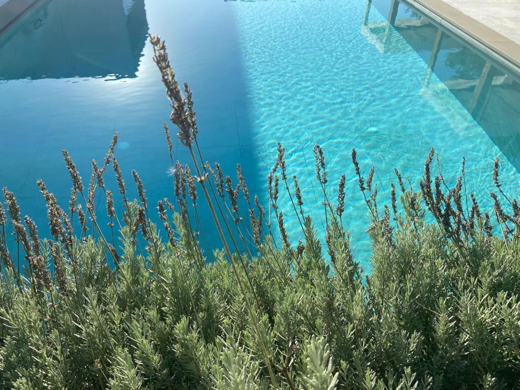Rosemarine Villas Durrës Exterior foto